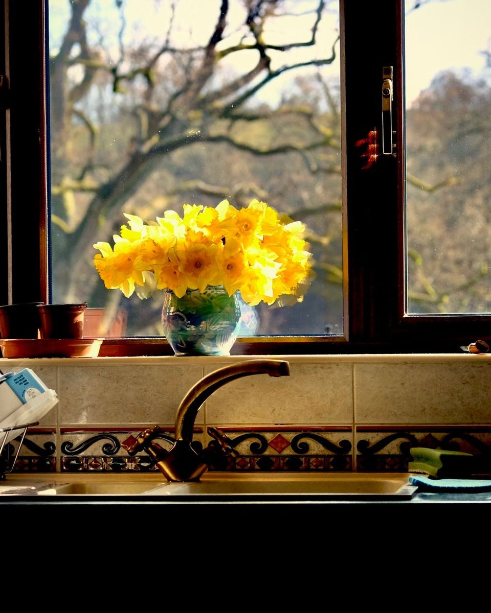 Morning light through a living room window
